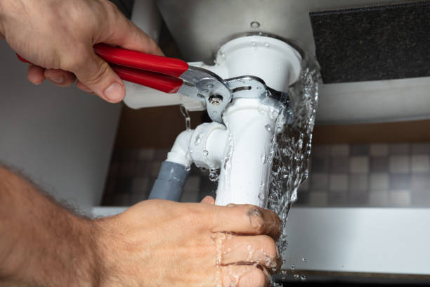 Best Flood restoration services  in Needville, TX