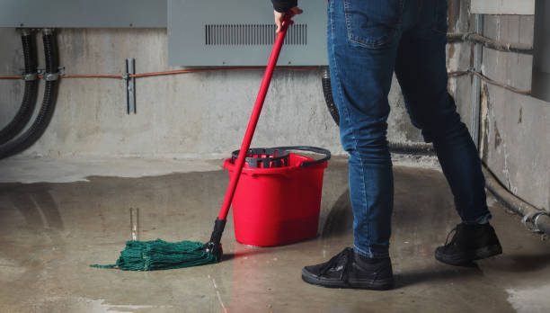 Best Water damage contractors near me  in Needville, TX