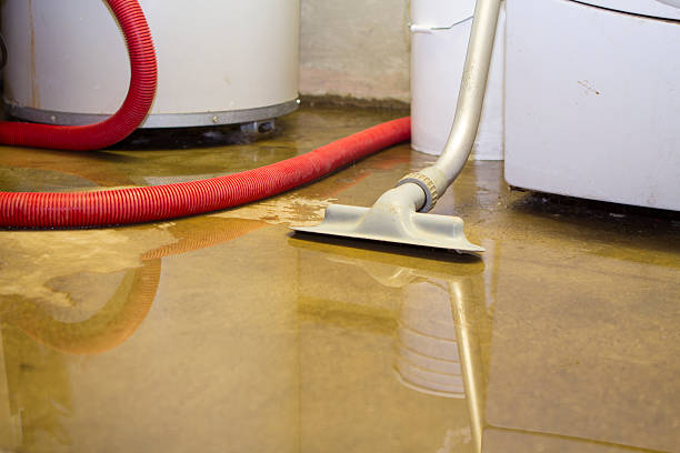 Best Fire Damage Restoration  in Needville, TX