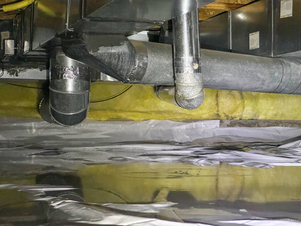 Best Basement water damage restoration  in Needville, TX