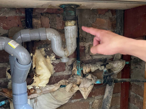Best Flood damage cleanup  in Needville, TX